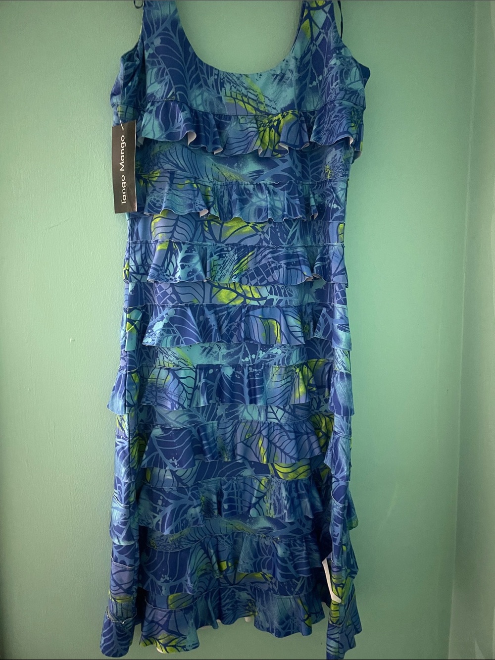 Tango Mango Short Sleeve Cha Cha Dress